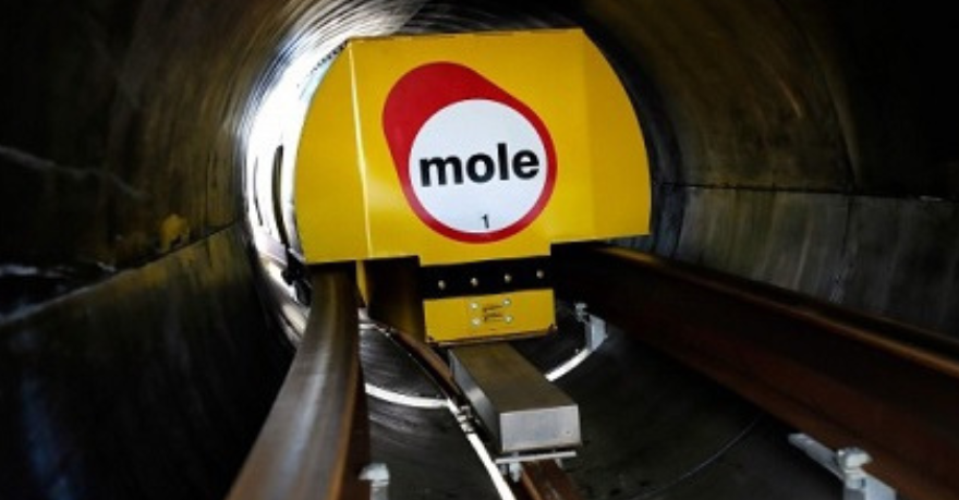 Mole Solutions UK