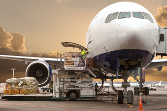 The inmologistic agent as a new player in the air cargo environment