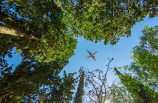 Sustainability policies in the aviation sector